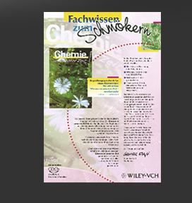 Gr&ouml;&szlig;ere Abbildung Flyer "Chemie in unserer Zeit" 1999