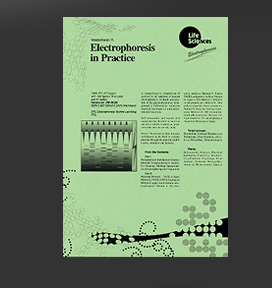 Gr&ouml;&szlig;ere Abbildung Einlegeblatt LifeSciencesBuch f&uuml;r die "VCH for Students"-Mappe