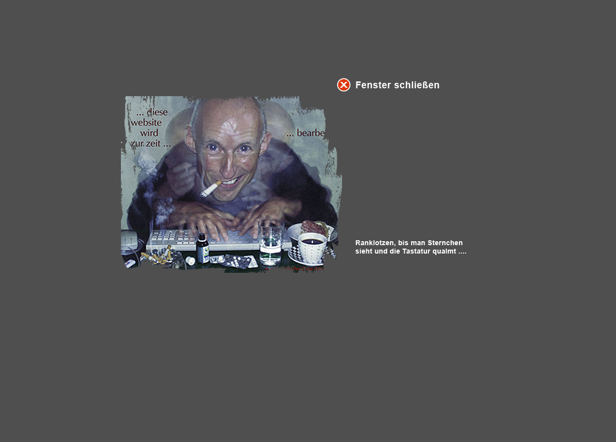 Gro&szlig;e Abbildung Ausschnitt Digital-Montage "Bauzaun"