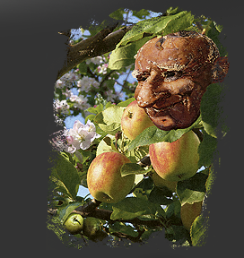 Gr&ouml;&szlig;ere Abbildung Digital-Montage "Der Sinn des Lebens"