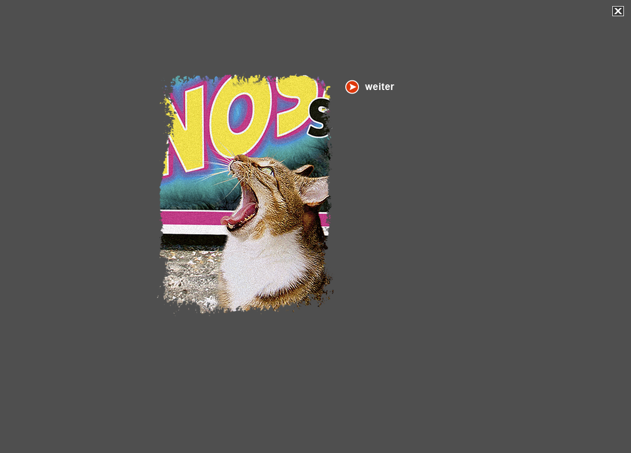 Gro&szlig;e Abbildung Digital-Montage "Gro&szlig;maul: Kopf Katze"