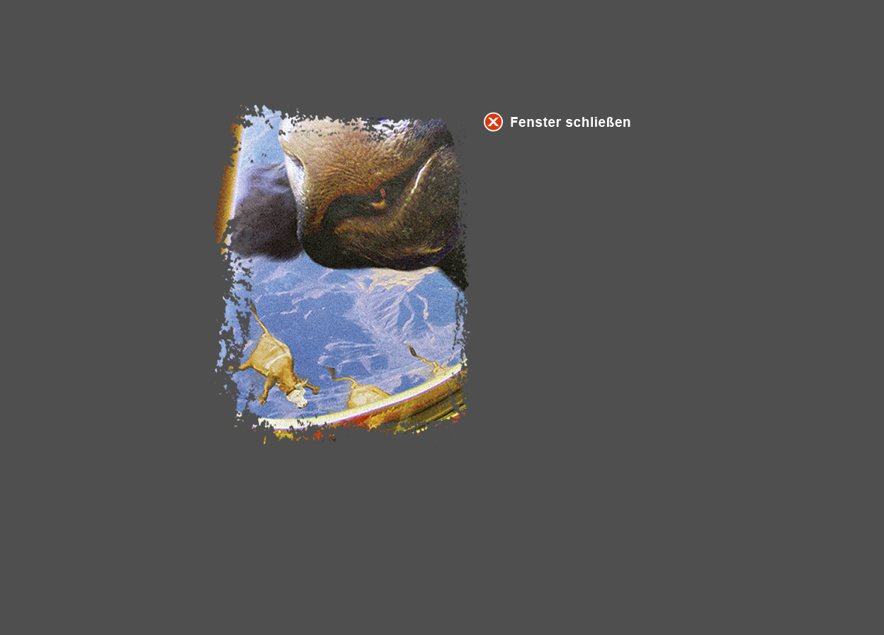 Gro&szlig;e Abbildung vergr&ouml;&szlig;erter Ausschnitt Digital-Montage "Heilige K&uuml;he"