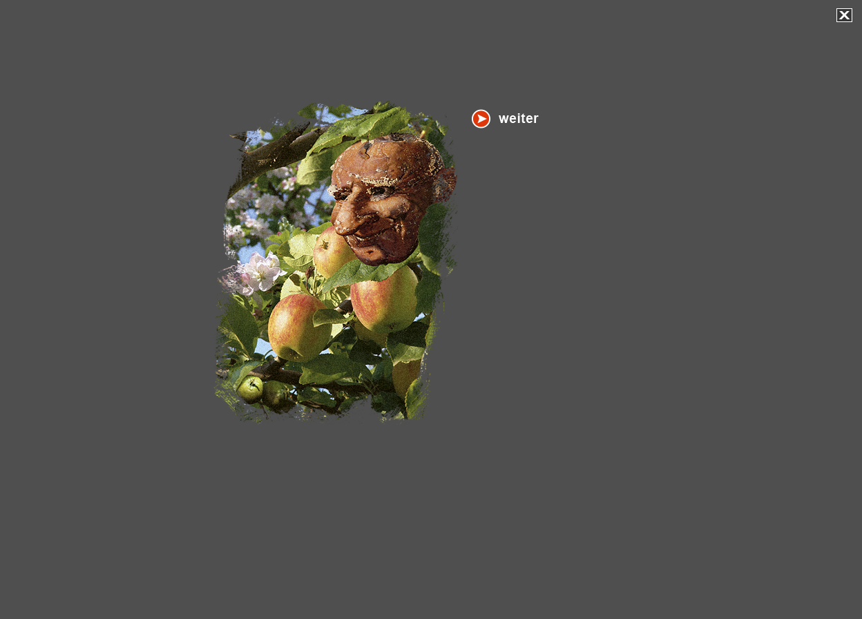 Gro&szlig;e Abbildung Digital-Montage "Der Sinn des Lebens"