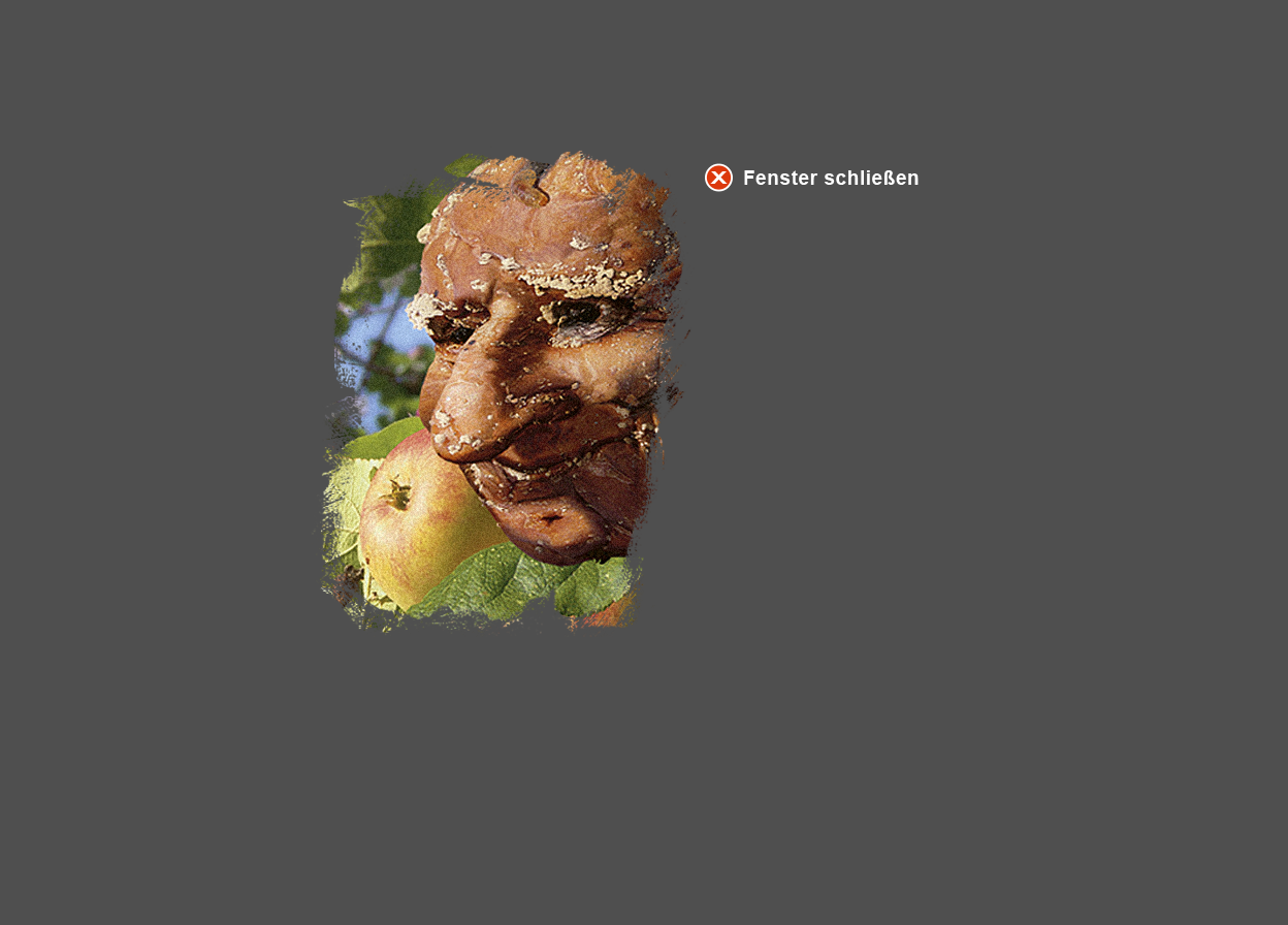 Gro&szlig;e Abbildung vergr&ouml;&szlig;erter Ausschnitt Digital-Montage "Der Sinn des Lebens"