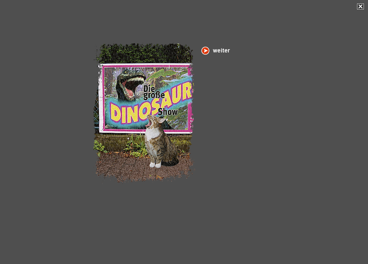 Gro&szlig;e Abbildung Digital-Montage "Starkult"