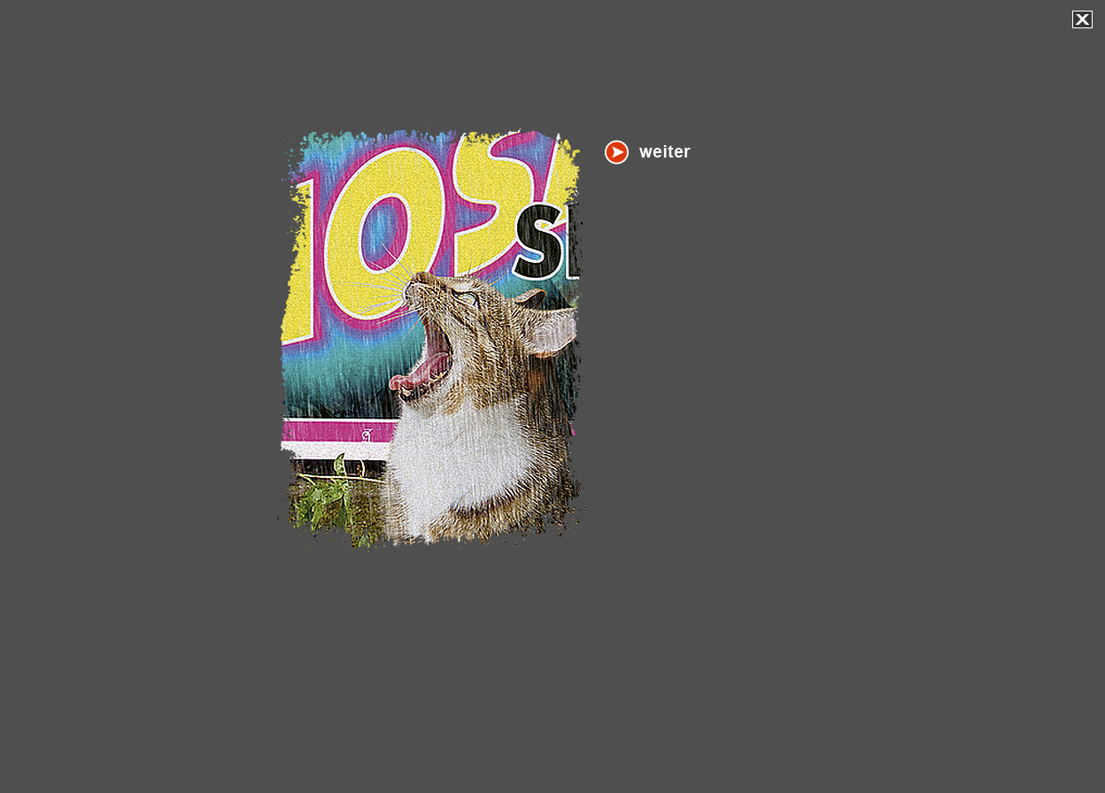 Gro&szlig;e Abbildung Digital-Montage "Starkult: Kopf Katze"