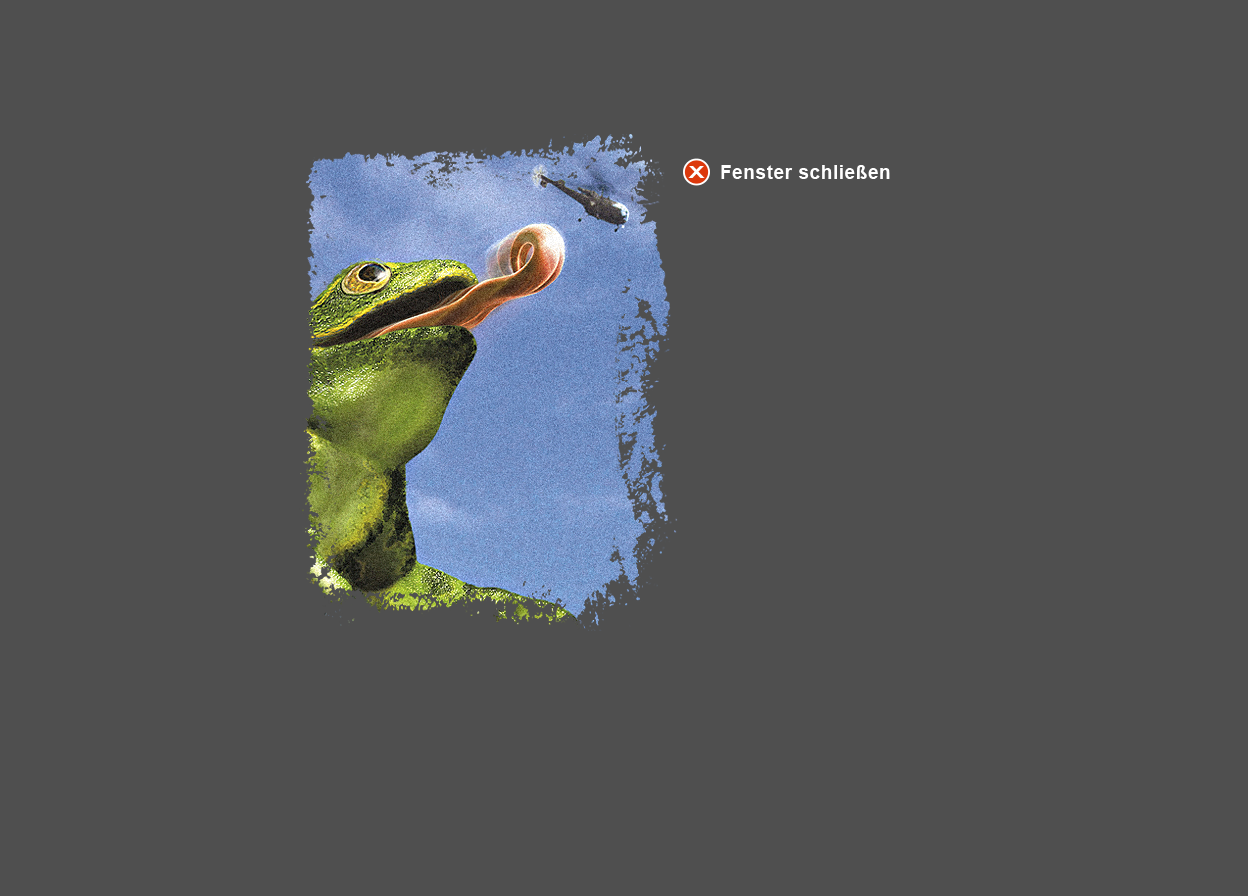 Gro&szlig;e Abbildung vergr&ouml;&szlig;erter Ausschnitt Digital-Montage "Bermuda Bergsee"