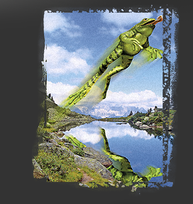 Gr&ouml;&szlig;ere Abbildung Digital-Montage "Bermuda Spiegelsee"