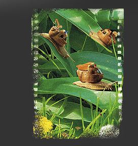 Gr&ouml;&szlig;ere Abbildung Digital-Montage "Verspielte Schnecken"