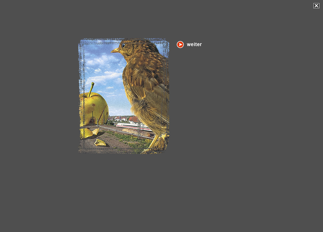 Gro&szlig;e Abbildung Digital-Montage "Schwein gehabt"