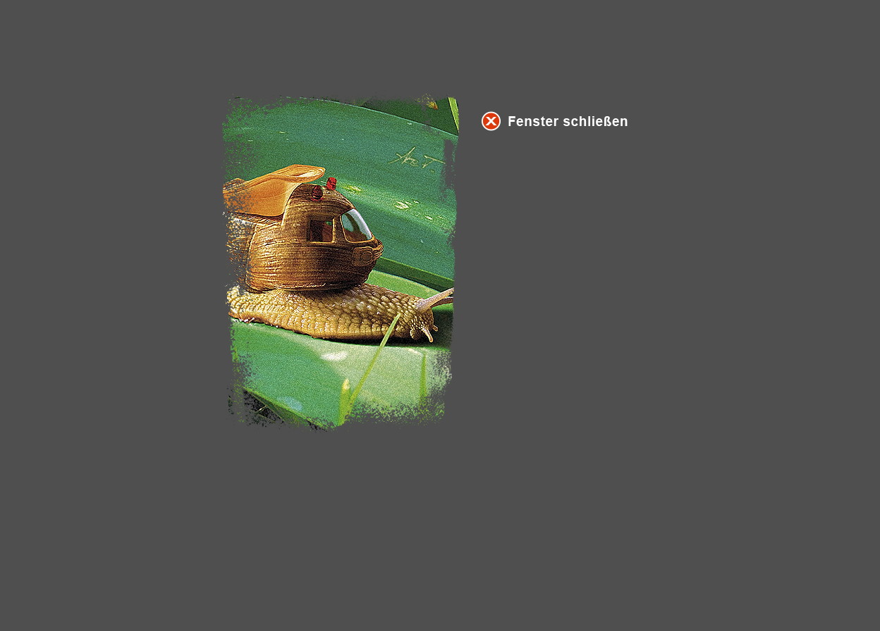 Gro&szlig;e Abbildung vergr&ouml;&szlig;erter Ausschnitt Digital-Montage "Verspielte Schnecken"