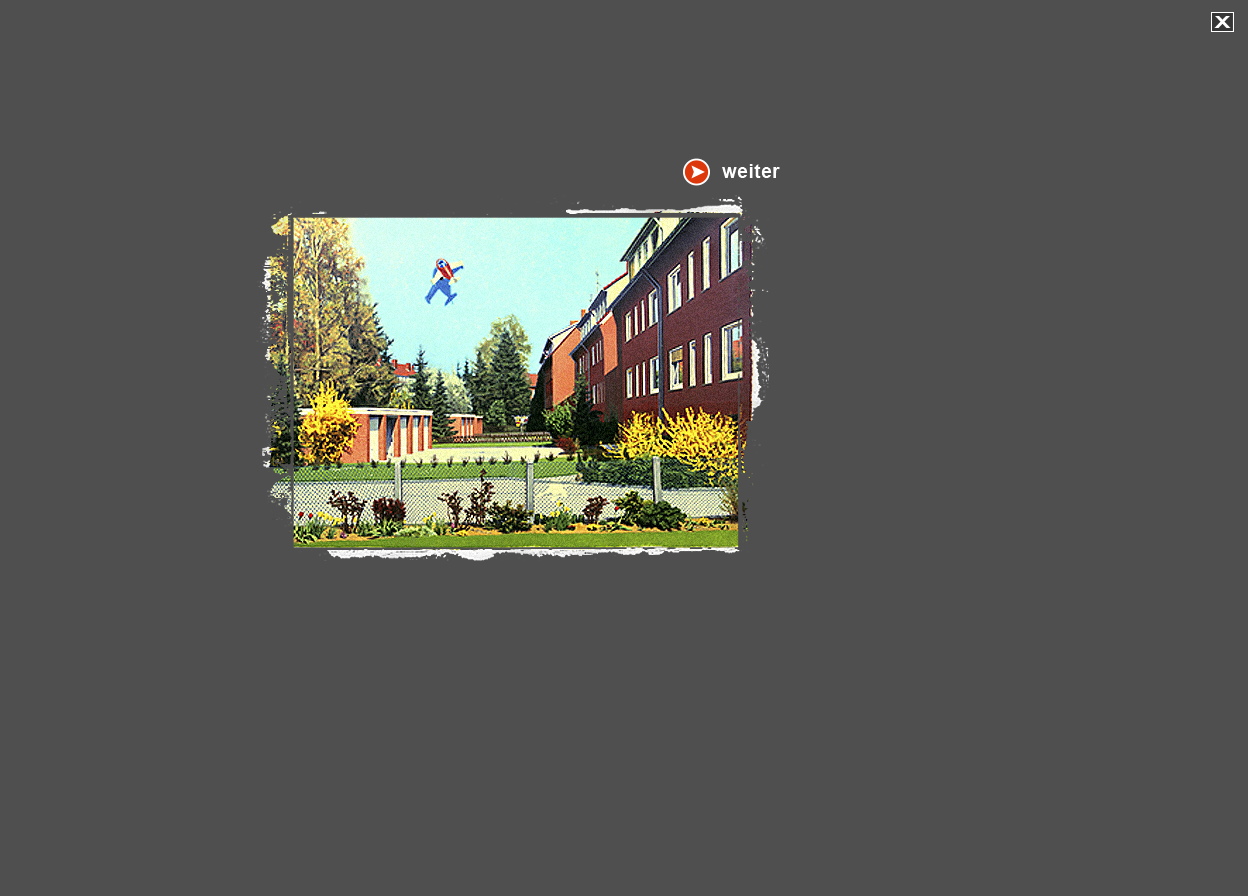 Gro&szlig;e Abbildung &Ouml;l-Bild "Plastik-Flieger"